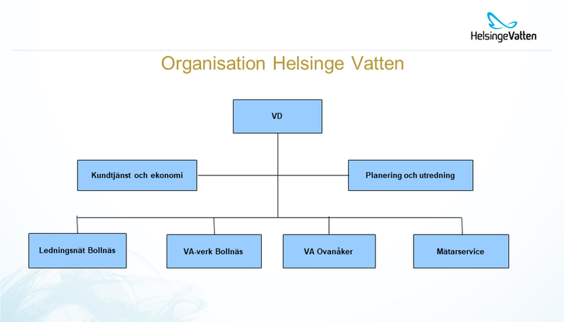 Träddiagram över HelsingeVattens organisation. Se listan nedan för samma information